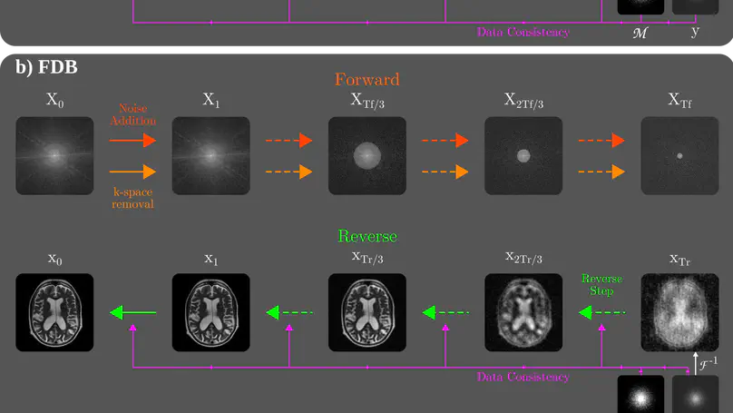Learning Fourier-Constrained Diffusion Bridges for MRI Reconstruction